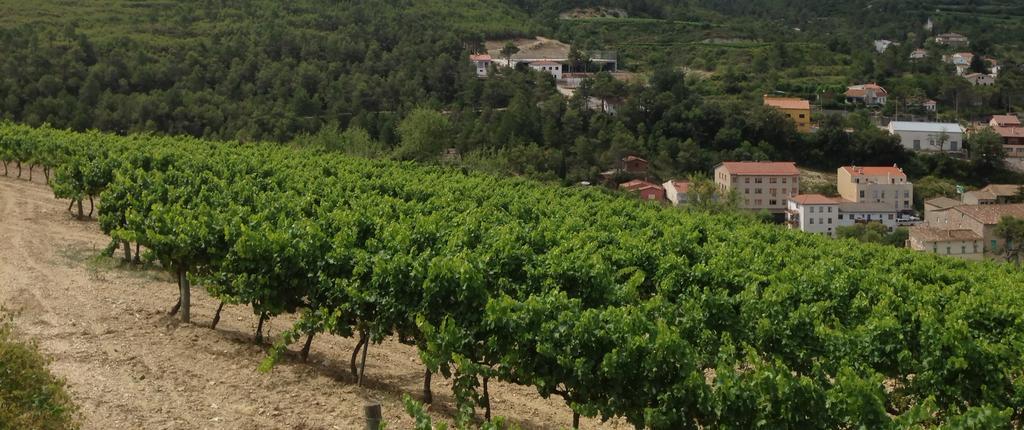 El Moli De Pontons Suites Con Jacuzzi Spa エクステリア 写真